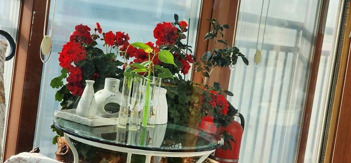 [크기변환]KakaoTalk_20250926_120107703_01.jpg 이미지